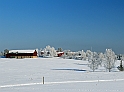 IMG_0195 alm14_redigerad-1